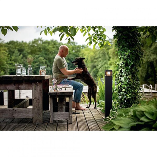 Stalp LED pentru exterior Philips Parterre, 8W (58W), 800 lm,