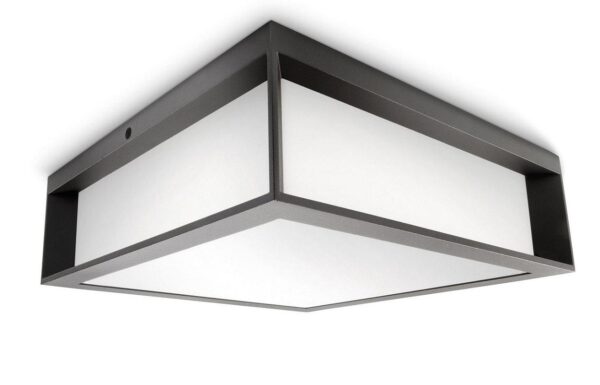 Plafoniera pentru exterior Philips Skies, 2xE27, max 2x42W, IP44, 260x260x81mm,