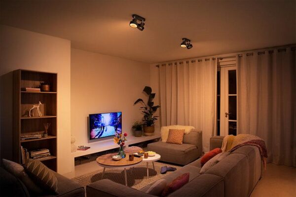 Spot LED Dublu Philips Bukko, 24V, 2x4.3W, 800 lm, intensitate - Image 4