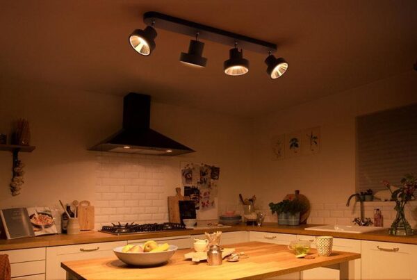Spot LED Cvadruplu Philips Bukko, 24V, 4x4.3W, 1600 lm, intensitate - Image 4